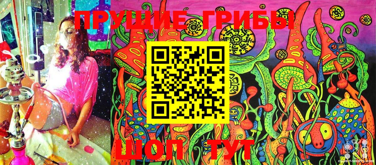 Галлюциногенные грибы GOLDEN TEACHER  Галлюциногенные грибы Psilocybe  Вход с VPN  купить   Борзя 